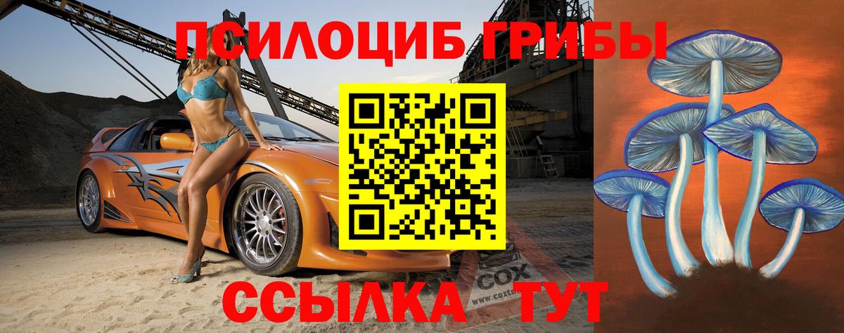 Галлюциногенные грибы Cubensis  где купить   Галлюциногенные грибы GOLDEN TEACHER  Тула  Вход с VPN 